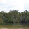 Neches River Symbol Image