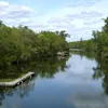 Saint Marks River (Wakulla County) Symbol Image