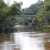 Ochlockonee River Symbol Image