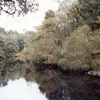 Steinhatchee River Symbol Image