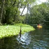 Ichetucknee River Symbol Image