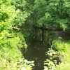 Waccasassa River Symbol Image