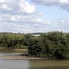 Anclote River Symbol Image