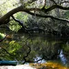 Alafia River Symbol Image