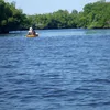 Little Manatee River Symbol Image