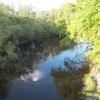 Peace River (Florida) Symbol Image