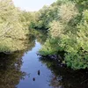 Satilla River Symbol Image