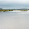 Sapelo River Symbol Image