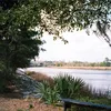 Ashley River Symbol Image
