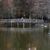 North Edisto River Symbol Image