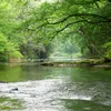 Linville River Symbol Image