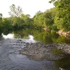 Roanoke / Staunton River Symbol Image