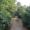 Mechums River Symbol Image
