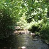 Thornton River Symbol Image