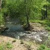 Rush River (Virginia) Symbol Image