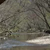 Northwest Branch Anacostia River Symbol Image