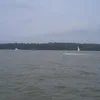 Sassafras River Symbol Image