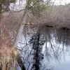 Tuckahoe River Symbol Image