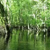 Great Egg Harbor River Symbol Image