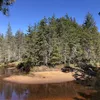 Mullica River Symbol Image
