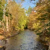 Lamington River / Black River Symbol Image