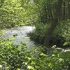 Whippany River Symbol Image