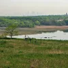 Great Fresh Kills Symbol Image