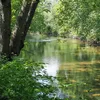 Bronx River Symbol Image