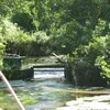 Connetquot River Symbol Image