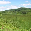 Barton River Symbol Image