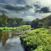 Tomifobia River Symbol Image