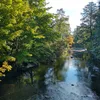 South Branch Middlebury River Symbol Image