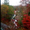 South Branch Williams River Symbol Image