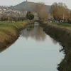 River Brue Symbol Image