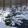 Wepawaug River Symbol Image