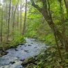 Hammonasset River Symbol Image