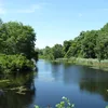 Mattapoisett River Symbol Image