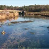 Quashnet River Symbol Image