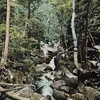 Lost River (New Hampshire) Symbol Image