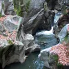 Cockermouth River Symbol Image