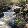 North Branch River Symbol Image