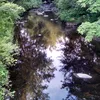 Phillips Brook (Massachusetts) Symbol Image