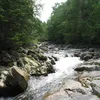 West Branch Peabody River Symbol Image