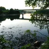 Damariscotta River Symbol Image