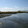 Beaverhead River Symbol Image