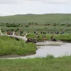Little Bighorn River Symbol Image