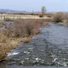 Illinois River (Colorado) Symbol Image