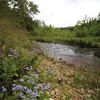 Little Niangua River Symbol Image