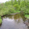 Blueberry River Symbol Image