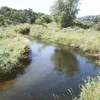 Wing River (Leaf River) Symbol Image